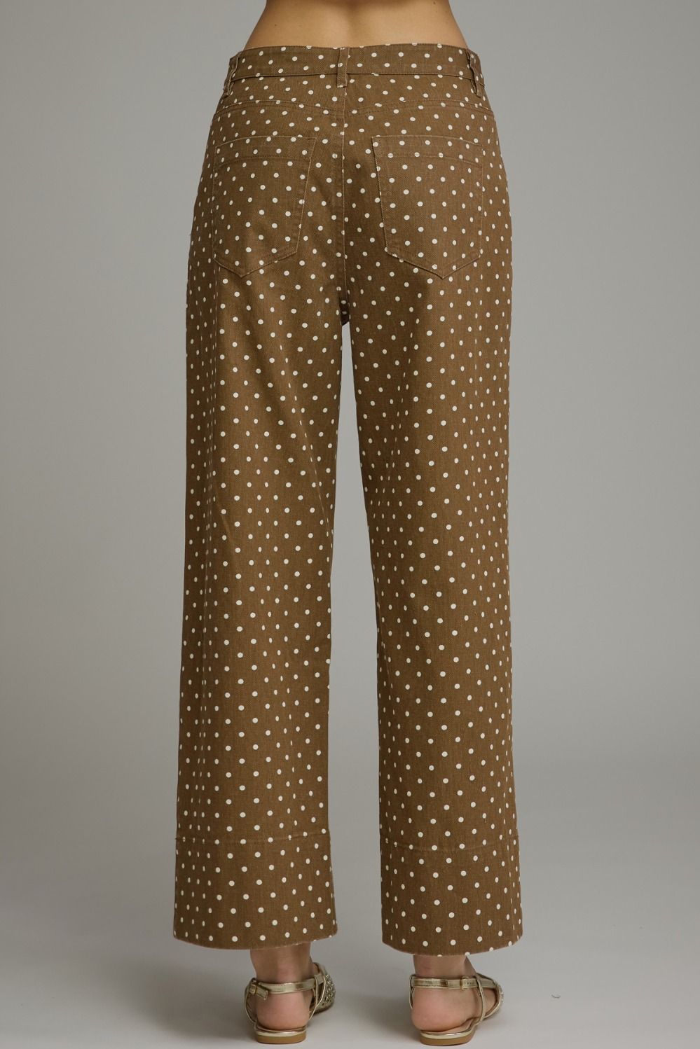 Brown Polka Dot Pants