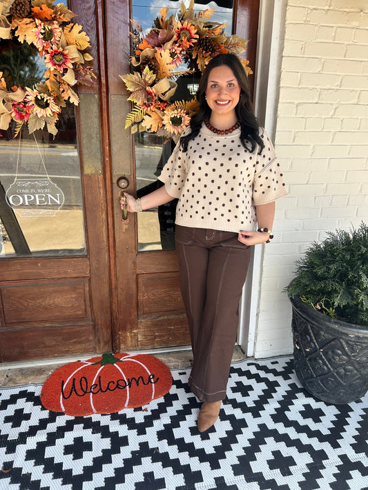 Brown Pants With Stitching